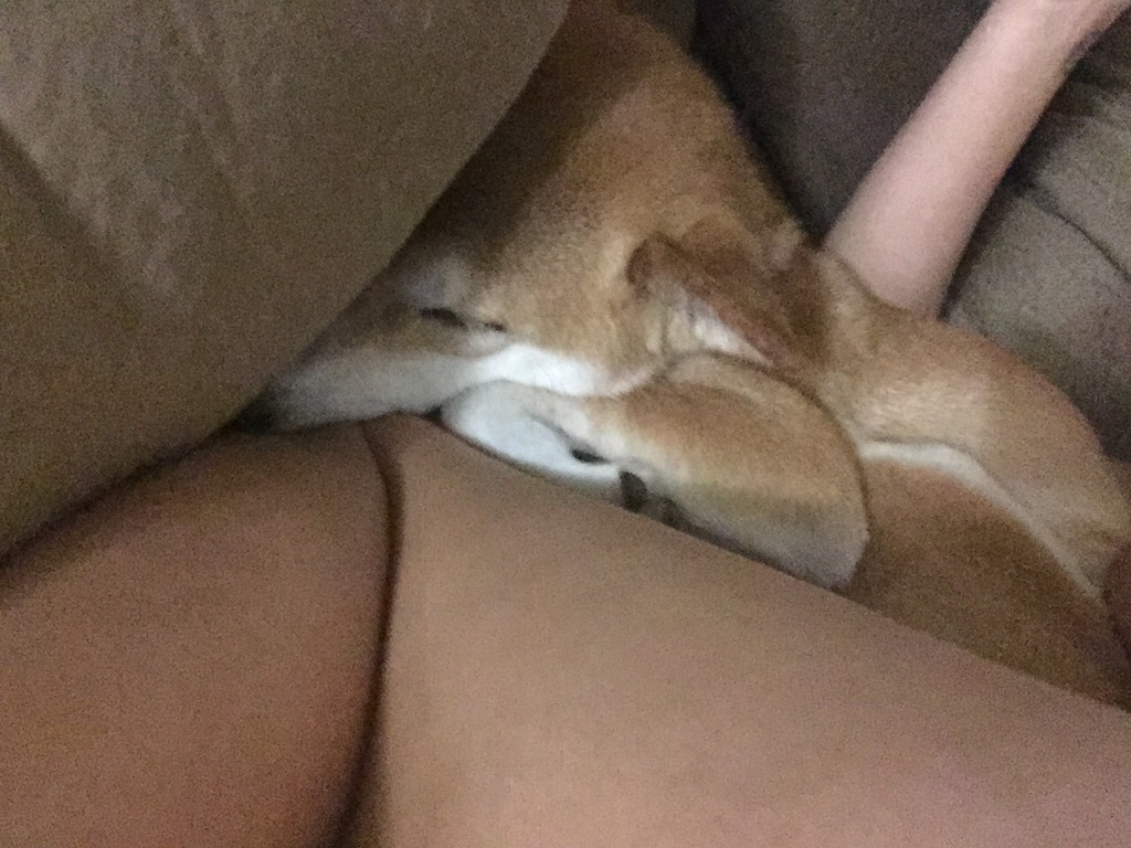 Ugh look at how cozily smashed up she is between the pillow and my knee she is the