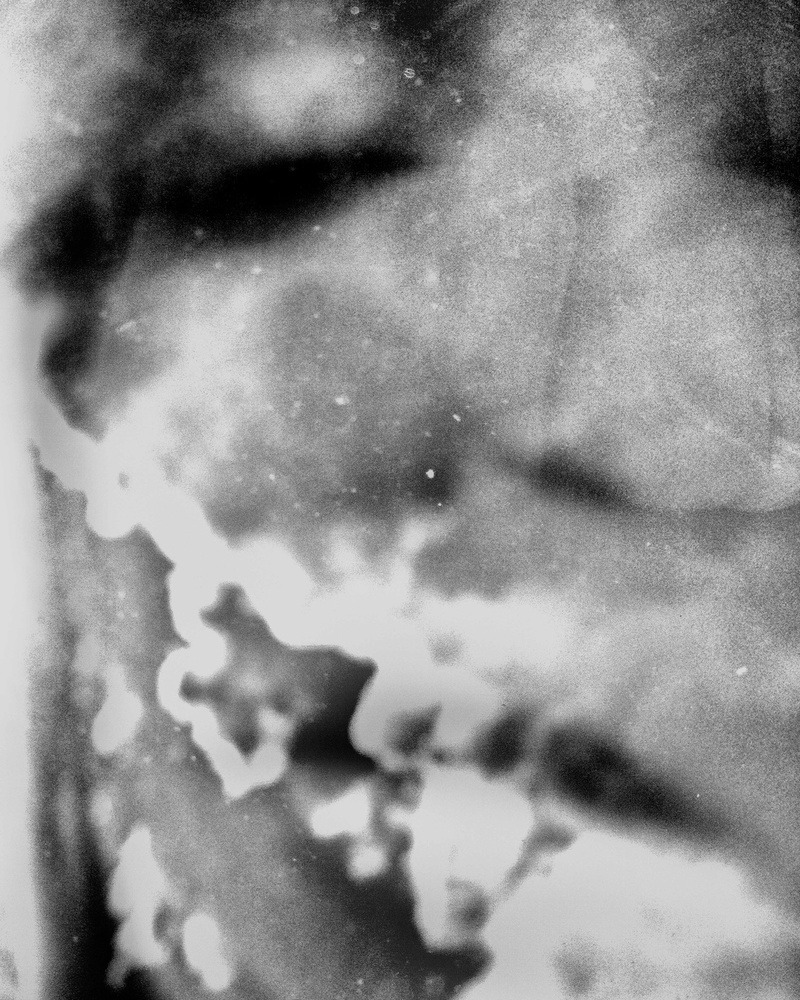 vivipiuomeno1:  Camille Renée Devid ph. (Netherland) #2 from ‘My Other Side’