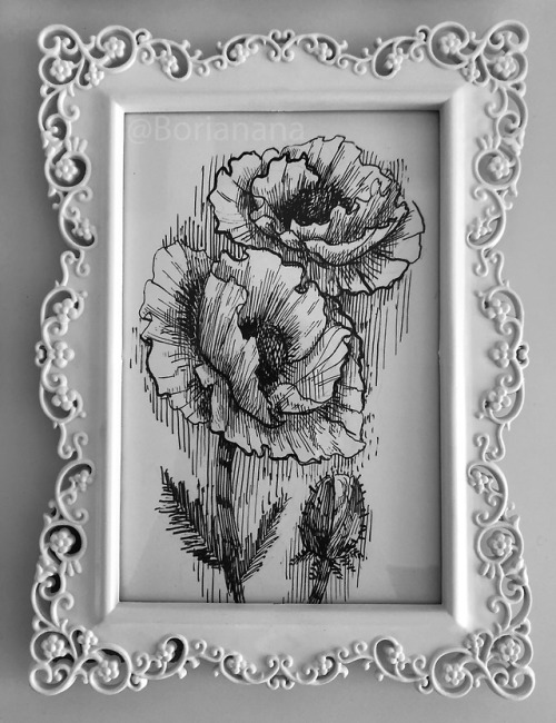 Ink drawings in frames for my shop!Avaliable: https://borianana.com/en/Boriana Savova / Borianana / 