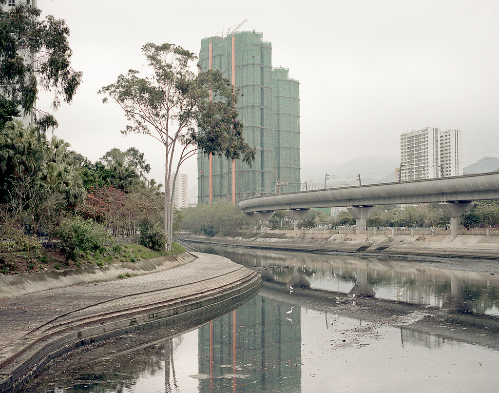 losed:  lam pok yin jeff