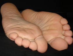 simply feet…