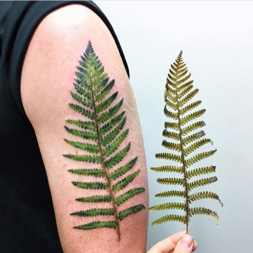Leaf Tattoos – Super Tattoo Ideas