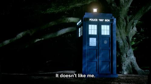 As a cat lover I just came to love the TARDIS even more than before because of that comment. ♥ 