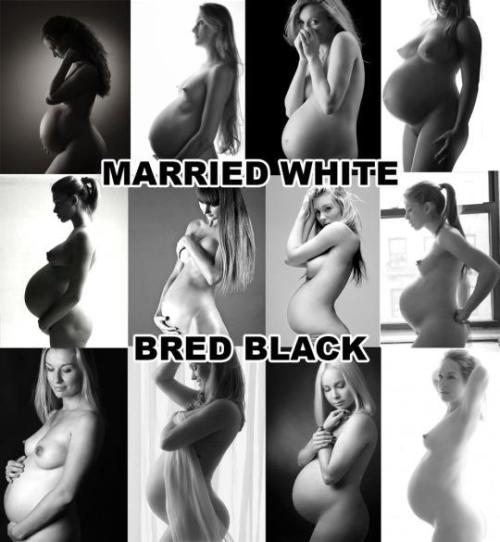 jessnjon: modern-white-marriage:  ATTENTION white women:  Do your part to accelerate the geneti