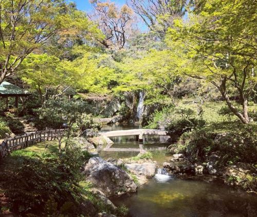 ＼おにわさん更新情報／ ‪[ 静岡県浜松市 ] 浜松城公園 日本庭園 Hamamatsu Castle Japanese Garden, Hamamatsu, Shizuoka の写真・記事を更新しま