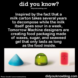 fearingfun:  did-you-kno:  Inspired by the fact that a milk carton takes several years to decompose while the milk itself goes sour in a week, Tomorrow Machine designers are creating food packaging made of waxes, sugar, and seaweed gel that only lasts