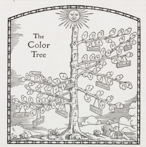Munsell’s Color Tree, from A Grammar of Color, 1921. By Thomas Cleland. The Strathmore paper c