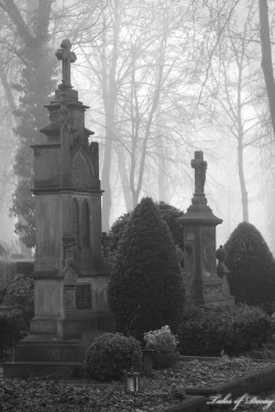 tales-of-decay:  Westcemetery Ahlen, Germany