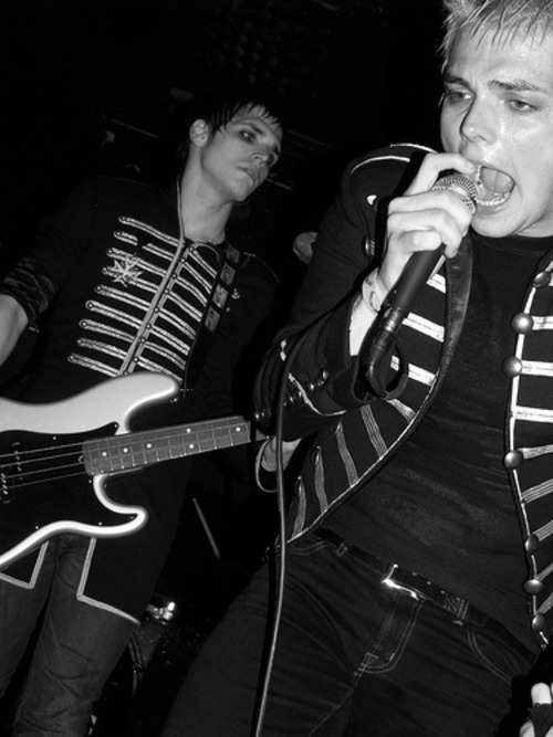 radgerard:gerard and mikey way 51/?