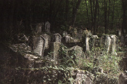 mrsnickon:  Crimean Karaites cemetery 