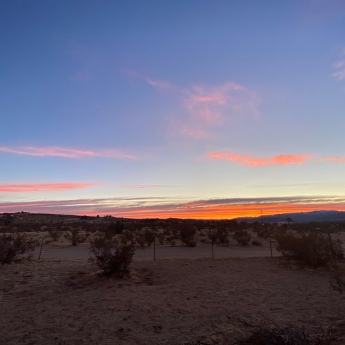 First sunrise of the new decade #2020 #newyear #nature #sunrise #desertlife #desertrat #joshuatree (