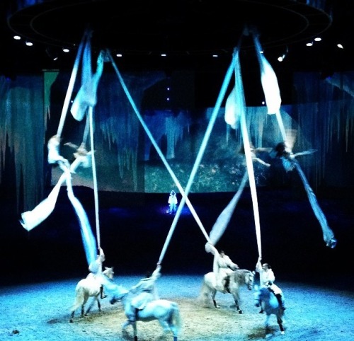 Guys guess what?!!? I got to go see Cavalia&rsquo;s Odysseo here in Calgary yesterday!!!!! It was so