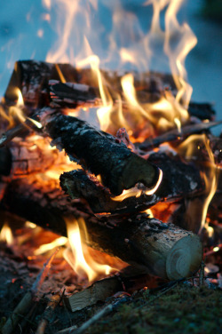 nordvarg:   Campfire in winter (by Mikkel