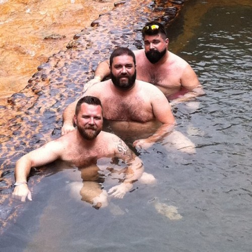 Bears-Pictures