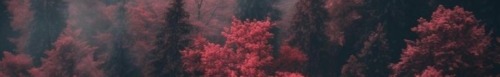A'