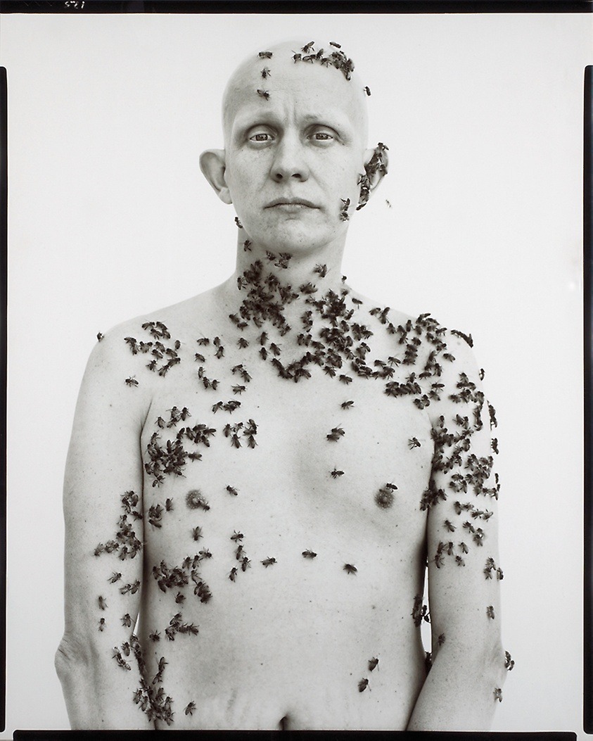 inneroptics:  Ronald Fisher, Beekeeper-   Richard Avedon   