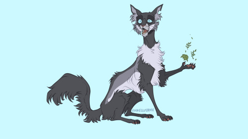 A Goosefeather for this week’s #WOTW!