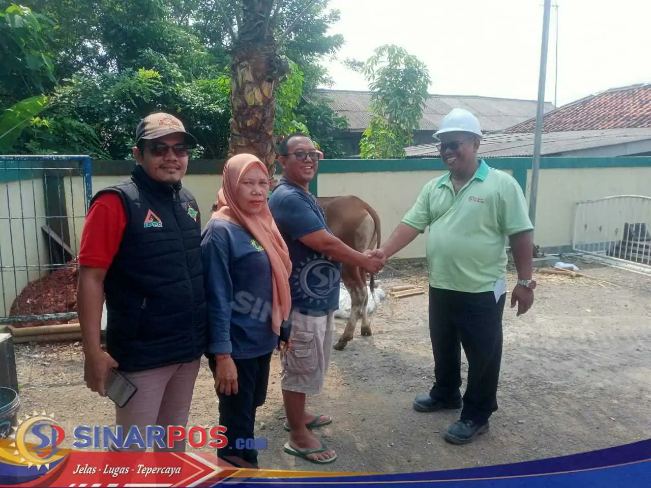 Jelang Hari Raya Idul Adha 1446 Hijriah 2025 PT Jui hsin Indonesia Bagikan Sapi Kurban Dan Kambing