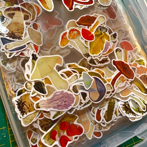 Just recently packed more stickers; this is what they look like before adding labels. There’s gilled