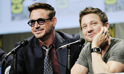 nerdthor-deactivated20160425:  The Avengers 2 men at the SDCC 2014 panel 