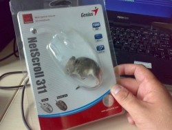 jaidefinichongg:  El weón pidió un mouse a China.