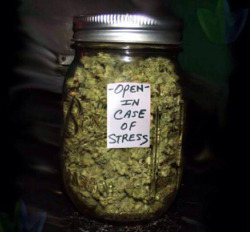 thatsgoodweed:  In case of Stress