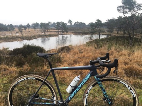 youcantbuyland: #Repost @garrymillburn ・・・ ➡️To the forest Bloody chilly out today! Yes that pond is