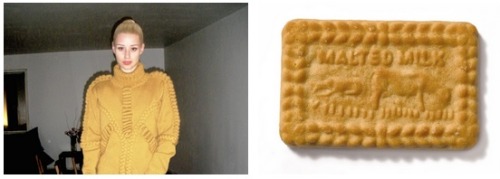 foodthatlookslikeiggyazalea:Iggy Azalea and a malt biscuit