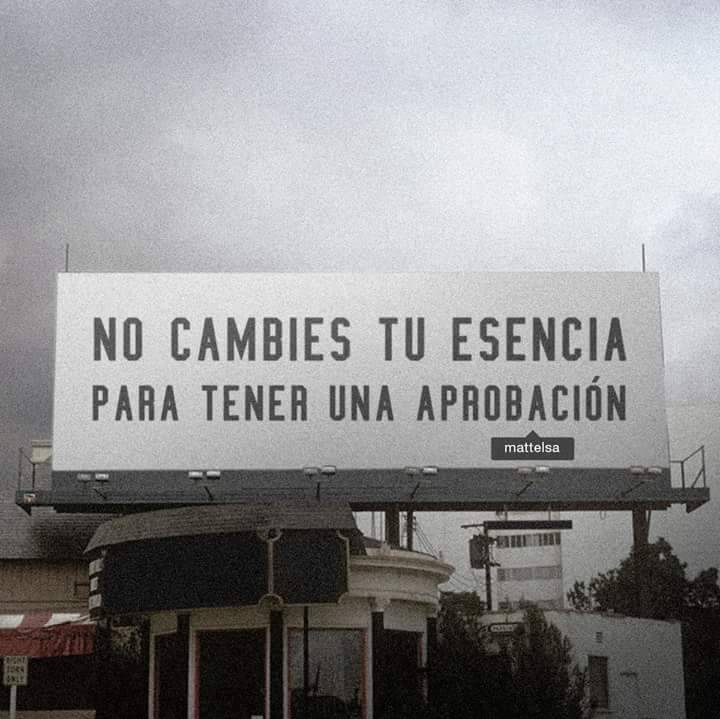 Pelotudo#1