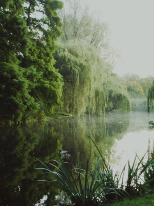 chthonics:By nikkiritmeijer