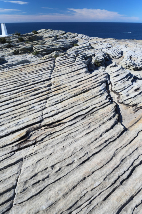 geologicaltravels:2017: Cross-bedding in the Triassic Hawkesbury Sandstone