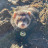 Click here to support Help get Charlie to a Cardiologist organized by Brittany Hill