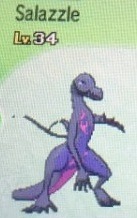 slbtumblng:  Ready for the Ol’ Razzle Salazzle, boy?   gamefreak is doing this on purpose lol