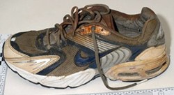 casseopeia:  unexplained-events:  About 14 detached feet (in sport shoes) were found mysteriously on the shores between British Columbia and Washington in 2007. People had no idea why this was happening. There were many theories as to the cause such as