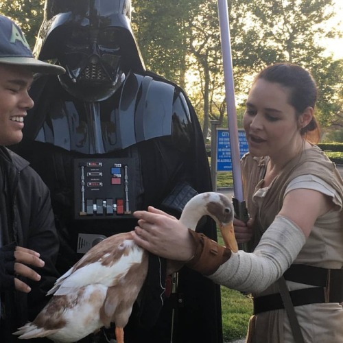 This duck&rsquo;s name is Yoda. He is a pet duck who was at our troop this past Friday. We adore