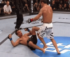 mma-gifs:  UFC 133: Chad Mendes vs. Rani Yahya 