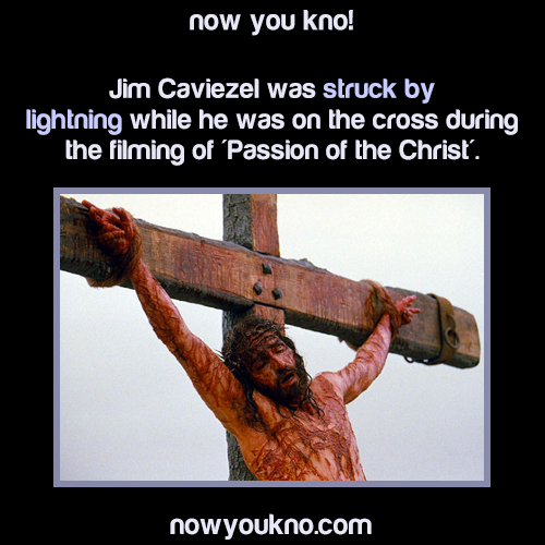 nowyoukno:  Now You Know more  interesting movie facts and trivia! (Source) 