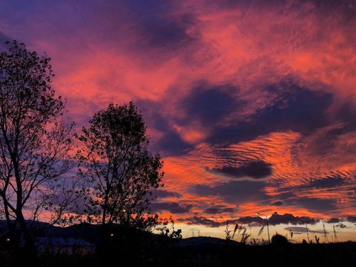 DailyGram: sky fckin porn • • • • • • Tags: #autumn #colours #trees #sunset #orangeskyline #skyporn 