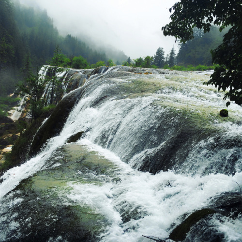 hallowcloud:[07.12.2016] waterfalls of 九寨沟 (Jiuzhaigou) [1/5]please do not re-use/re-post without pe