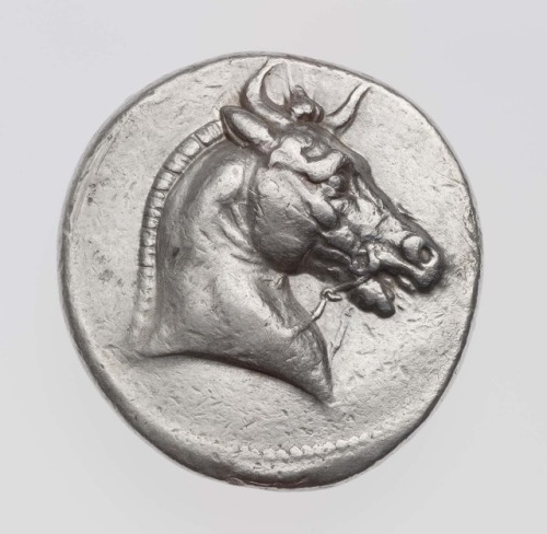 ancientanimalart: Tetradrachm of Kingdom of Syria with horned head of horse, struck under Seleukos I