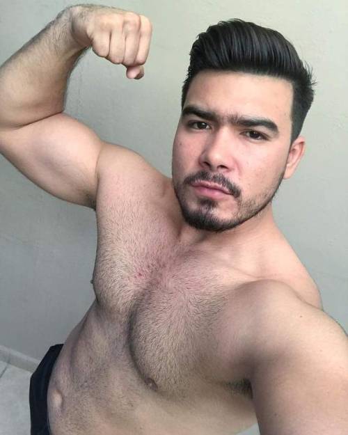 bear-hairy:  bear-hairy:  bear-hairy:  Déjanos tu comentario ✔️  Rebloguea y comparte el contenido si te gustan las fotos.  #Bear_Hairy  Nuestro Contenido de Archivo. Si te gusta Rebloguea o Comparte 🔂#51   Nuestro Contenido de Archivo. Si te