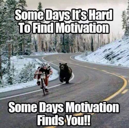 Guy on a bike being chased by a bear. Text: some days it's hard to find motivation, some days motivation finds you.