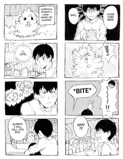 suikkart:  i saw a mention of hinata being kageyama’s pet hamster on my dash and i couldn’t stop thinking about kageyama having a hamster so i doodled a comic about it i draw nothing but haikyuu comics nowadays and nobody can sTOP ME 