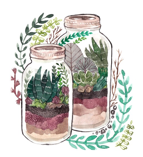 artcoven:making a terrarium/plant postcard set, here’s the 1st design!