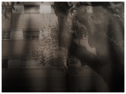 marinapotok: Untitled (Porto 2014)
