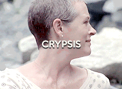 queenpeletier:  Carol + Camouflage Techniquescrypsis - blending into the background,