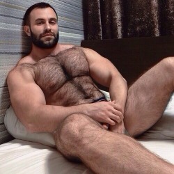 hairy-chests:  /