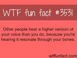 wtf-fun-factss:Why you think your voice is ugly? - WTF fun facts