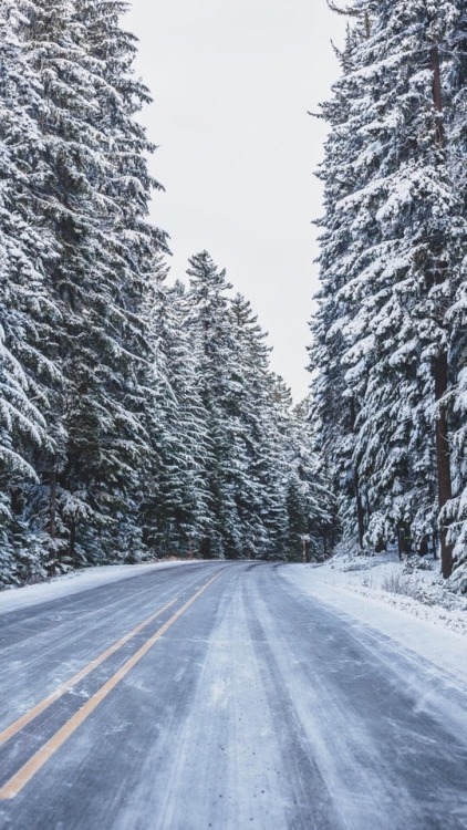 winter wonderlandplease reblog/like if you save/use(: