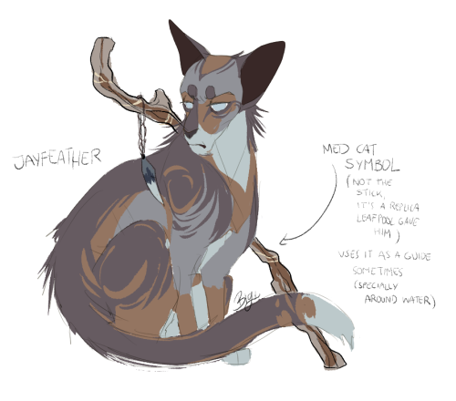 jayfeather warrior cats Thunder the Silkwing - Illustrations ART